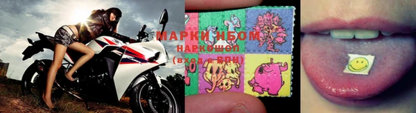 прущие грибы Володарск