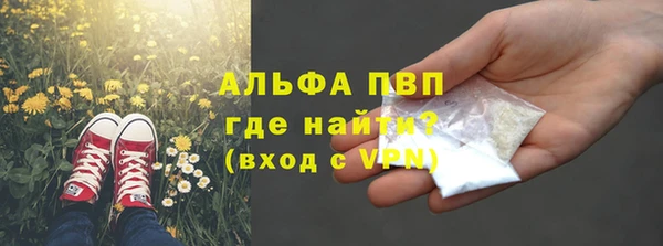 прущие грибы Володарск