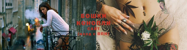 прущие грибы Володарск