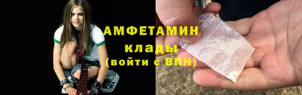 прущие грибы Володарск