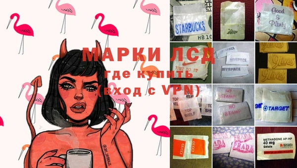 прущие грибы Володарск