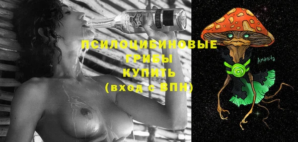 прущие грибы Володарск