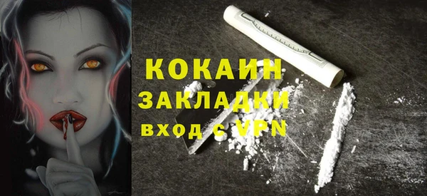 прущие грибы Володарск