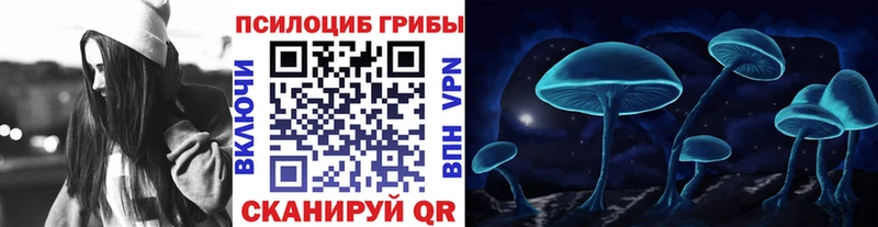 Галлюциногенные грибы Psilocybe  Ачинск 